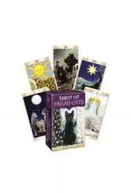 Tarot of Pagan Cats, mini karty do tarota