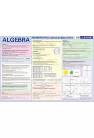 Matematyka. Algebra. Szkoła podstawowa. Plansza edukacyjna na ścianę i biurko + książeczka edukacyjna