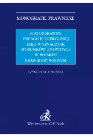 Status prawny energii elektrycznej jako wyznacznik stosunków umownych w polskim prawie prywatnym