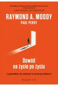 Dowód na życie po życiu