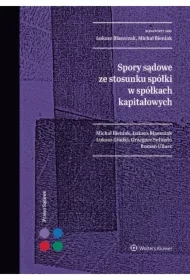 Spory sądowe ze stosunku spółki w spółkach kapitałowych