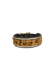 Obroża skórzana, 37-44 cm/34 mm, pantera