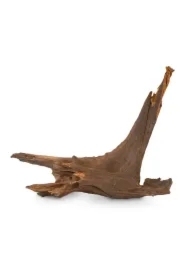 Korzeń Koralowcowy do akwarium / terrarium 25-60 cm