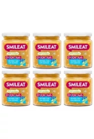 Słoiczek z ekologicznymi małymi kawałkami soczewicy i komosą ryżową po 10 miesiącu Zestaw