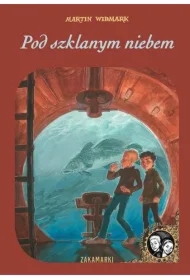 Pod szklanym niebem. Dawid i Larisa. Tom 5