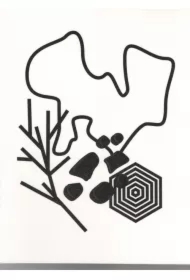 Nieposłuszeństwo. Teoria i praktyka FORMAT P nr 8