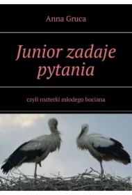 Junior zadaje pytania