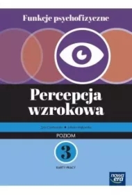 Funkcje psychofizyczne. Percepcja wzrokowa. Poziom 3. Karty pracy