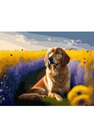 Malowanie po numerach + złota farba - Złoty pies..