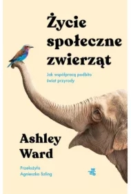 Życie społeczne zwierząt