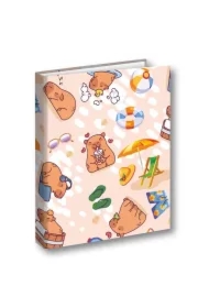 Segregator A4/2 na gumkę Kapibara Plaża