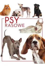 Psy rasowe