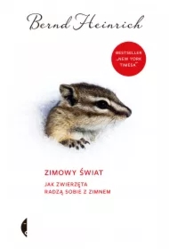 Zimowy świat. Jak zwierzęta radzą sobie z zimnem