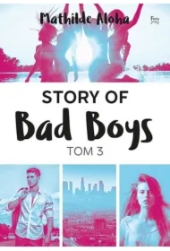 Story of Bad Boys. Tom 3