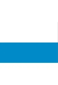 Chorągiewka Maryjna kpl 20 szt