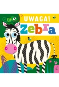 Uwaga! Zebra