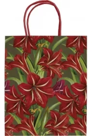 Torebka ozdobna A5 STBAG147 Gwiazda Betlejemska