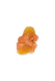 Pausesnack przysmak dla psa, kawałki kiwi owinięte kurczakiem