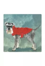 Magnes FM211 Pies Henry