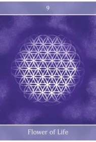 Beyond The Illusions, karty do wróżenia, Animal Dreaming