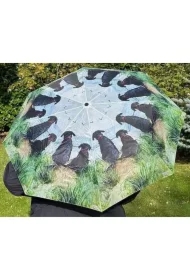 Parasolka Psy na wydmach