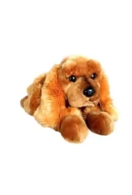 Pies Spaniel 62cm