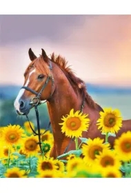 Malowanie po numerach - Koń w słonecznik.