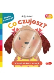 Co czujesz? Akademia Mądrego Dziecka. Mój świat