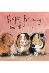 Karnet Urodziny AC651 Świnki morskie