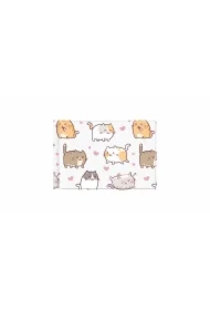 Okładka na dokumenty ucznia małe kittens