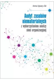 Audyt zasobów niematerialnych z wykorzystaniem..