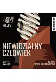 Niewidzialny człowiek