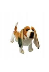 Pies basset 44cm
