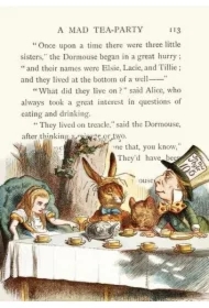 Karnet B6 z kopertą Alicja w krainie czarów