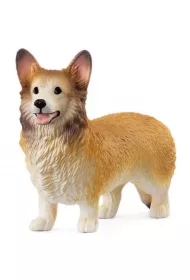 Corgi