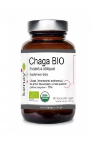 Chaga Suplement diety