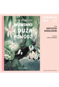 Muminki i duża powódź