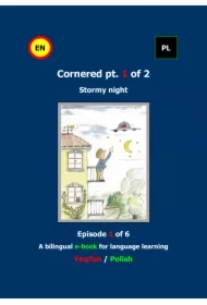 Cornered Osaczony Stormy night 1