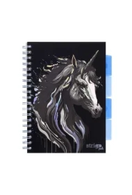 Kołozeszyt Pads B5 Unicorn