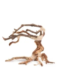 Tonące drzewo Bonsai nr nr 24 35 x 25