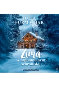 Zima w zapomnianym schronisku