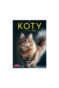 Kalendarz 2026 A4 wieloplanszowy Koty