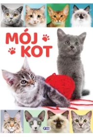 Mój kot