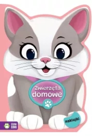 Na tropie kolorów. Zwierzęta domowe