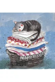 Karnet AC329 Kot na koszu z praniem