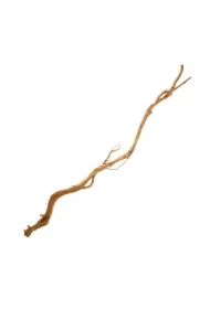 Drewno Antler Wood Branch Mix Rozmiarów