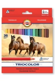 Kredki Triocolor 3145