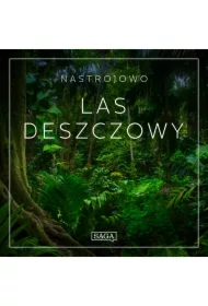 Nastrojowo - Las Deszczowy