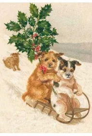 Karnet ST327 B6 + koperta Pieski na sankach