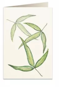 Karnet B6 + koperta 6017 Foglia tripartita